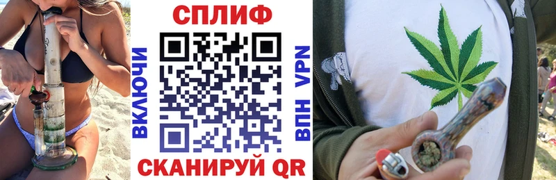 Шишки марихуана план Отрадный